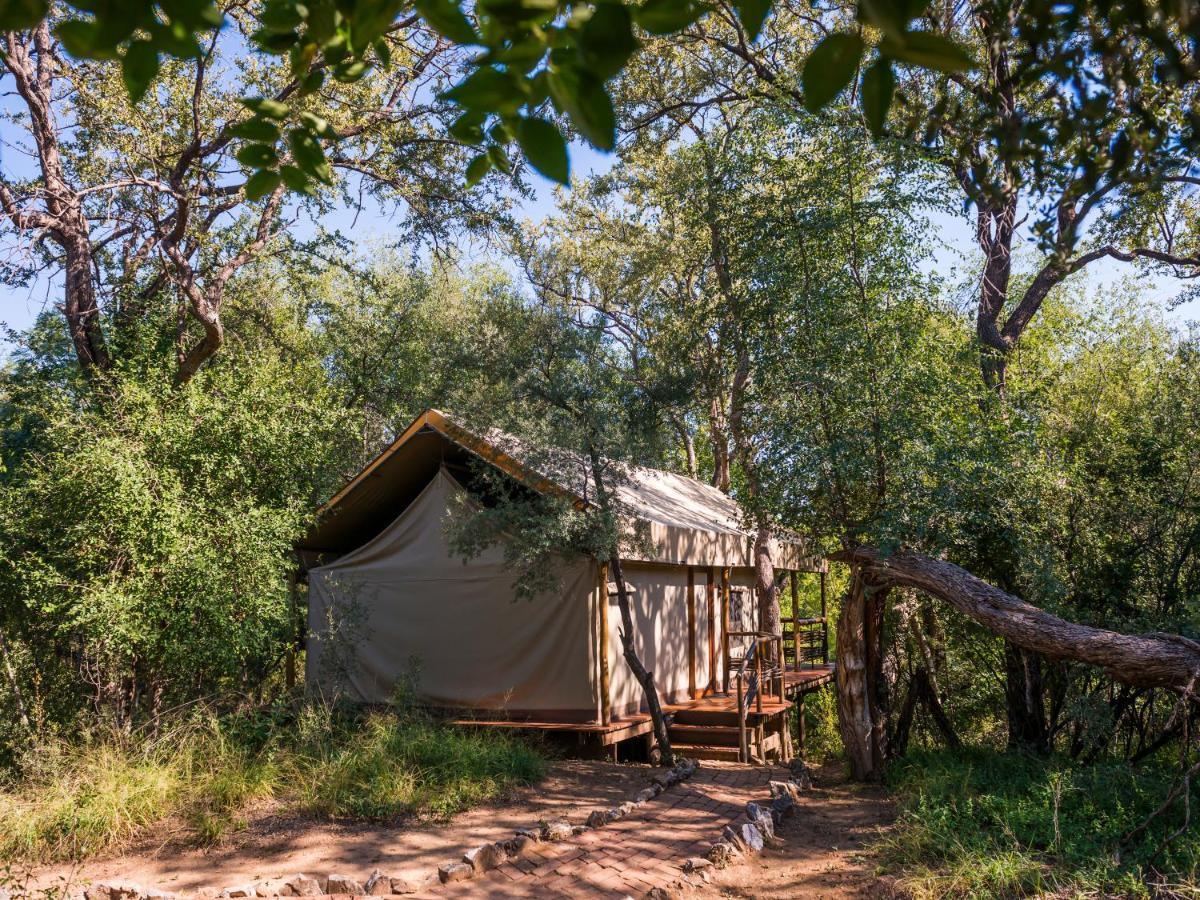 Aha Thakadu River Camp Madikwe Game Reserve Εξωτερικό φωτογραφία